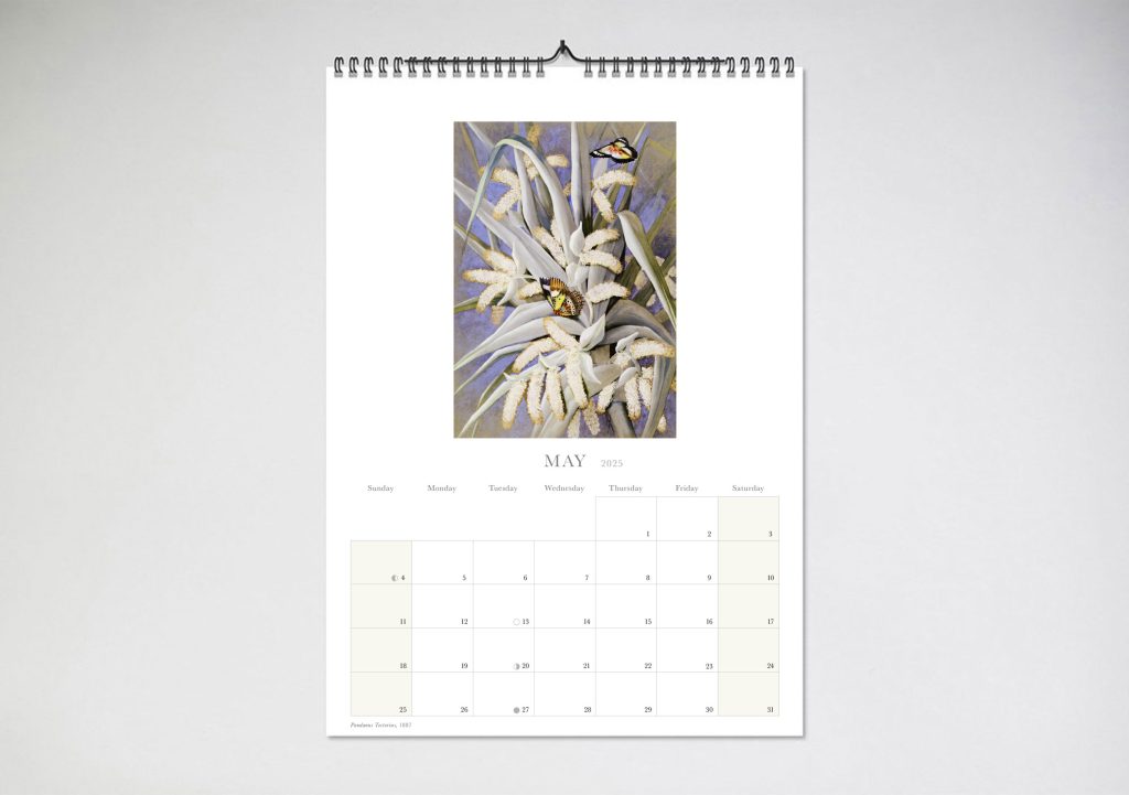 Ellis Rowan 2025 Wall Calendar Blue Island Press