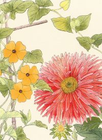 Japanese Woodblock Flower Cards